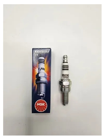 MLC-4058477394