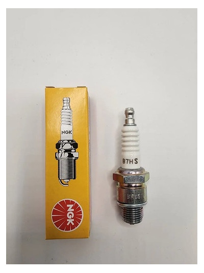MLC-4058697534