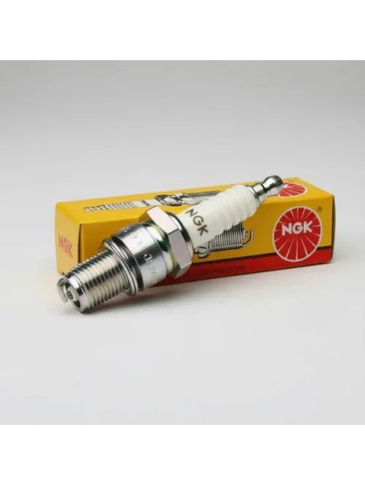 MLC-4095493176