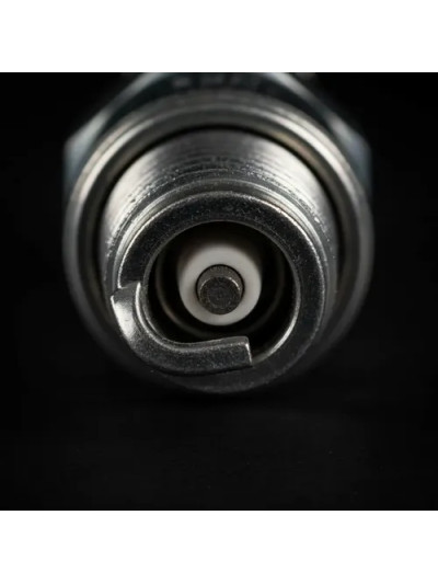 MLC-4093503974