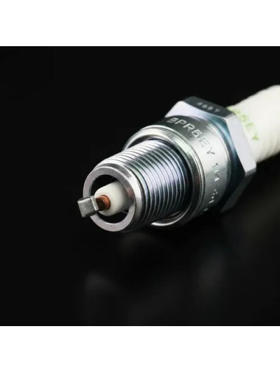 MLC-4095493174