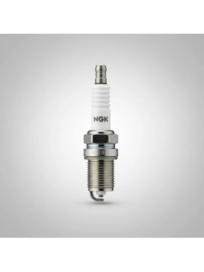 MLC-4093503972
