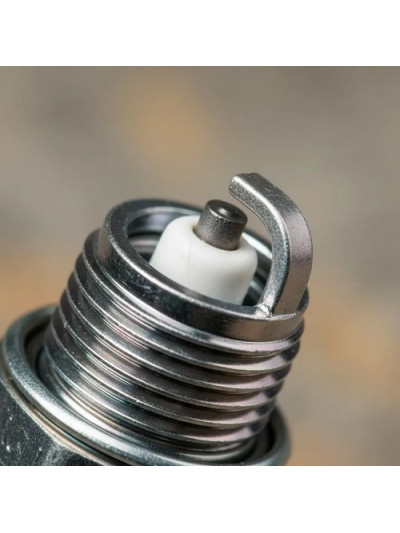 MLC-2011905125