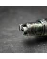 MLC-4058632964