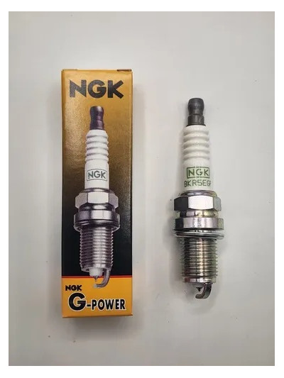 MLC-4058695612
